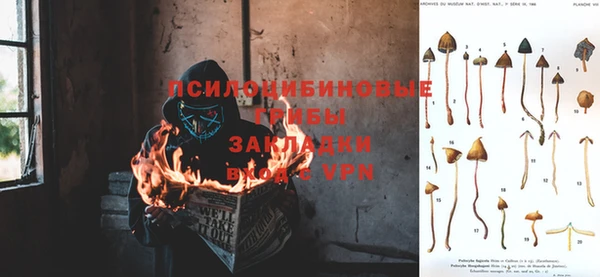 бошки Волоколамск