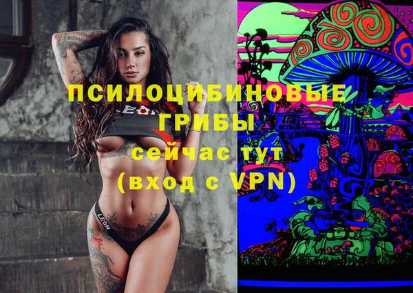 бошки Волоколамск